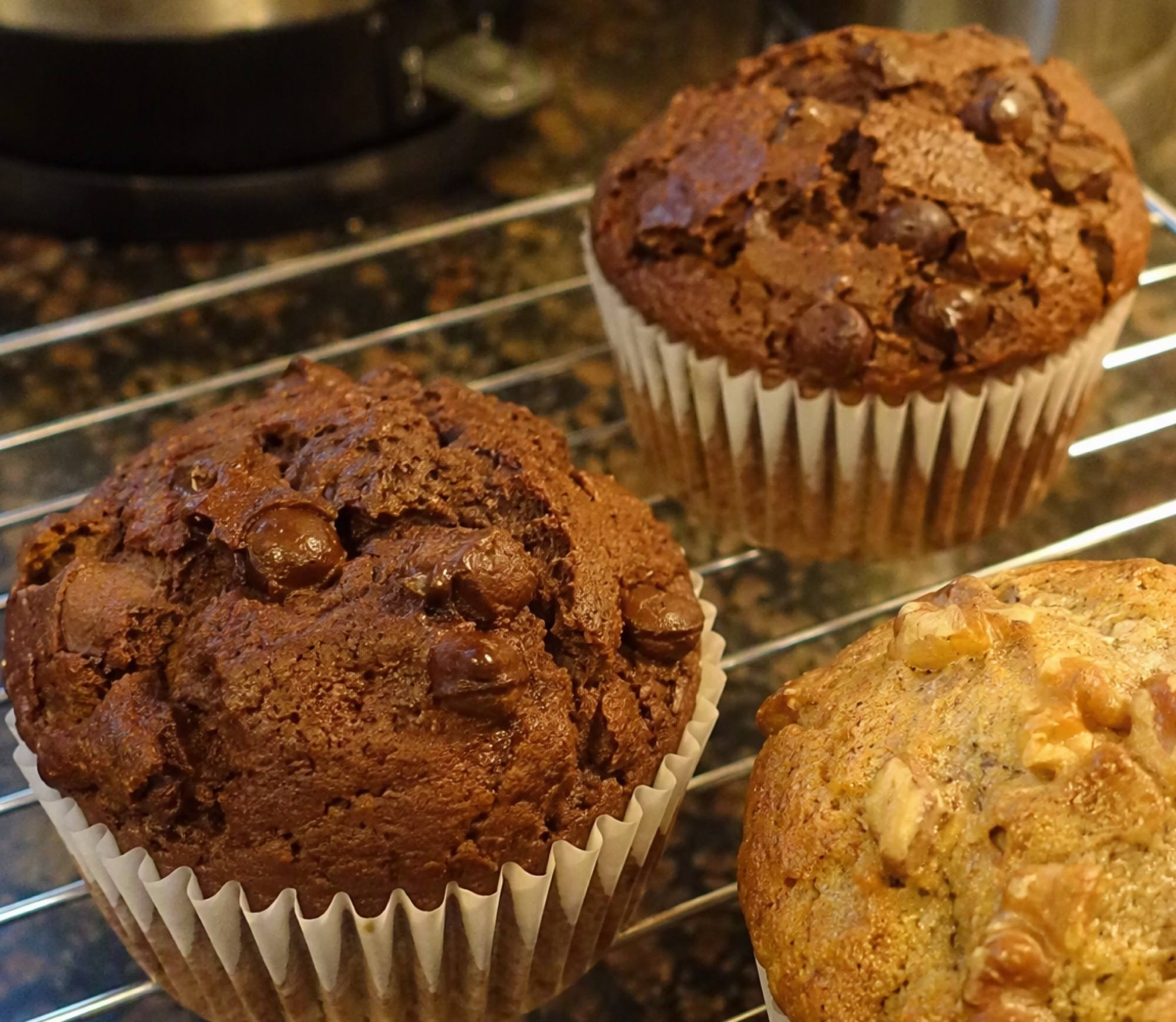 Two dark double chocolate chip muffins with cracked, chip-studded tops on a cooling rack